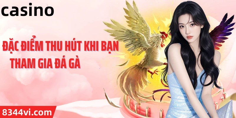 Hình ảnh quảng cáo của sabong hiển thị nền tảng và các lợi ích